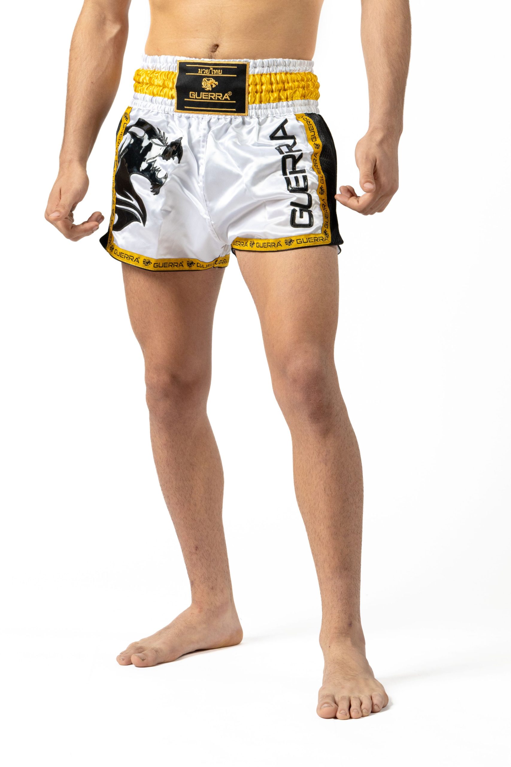 Muay Thai Shorts