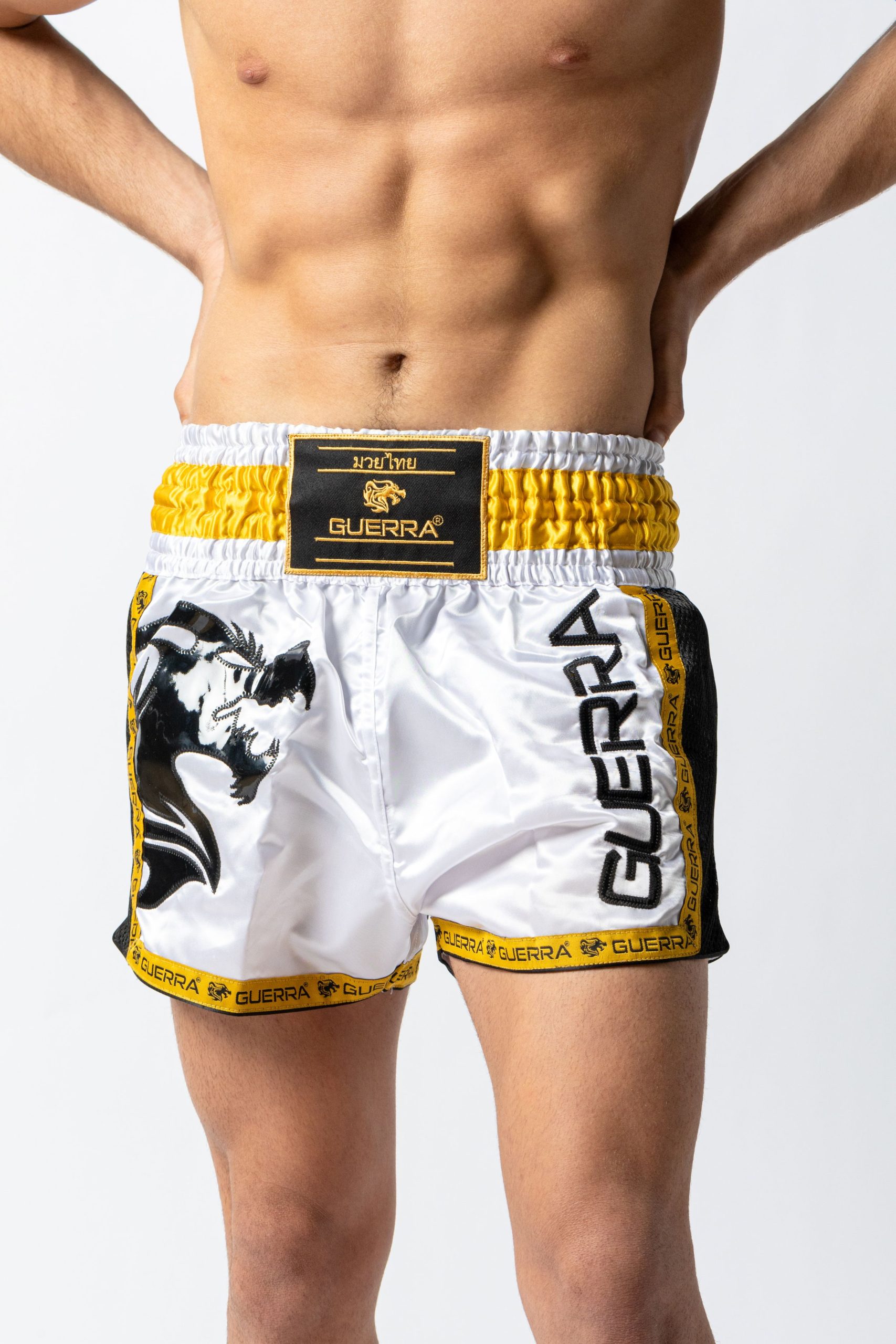 Muay Thai Shorts